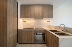 Leedon Green (D10), Condominium #424544291